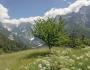 Slovenia / Strmec / Mountain, Landscape